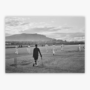 Cricket Players