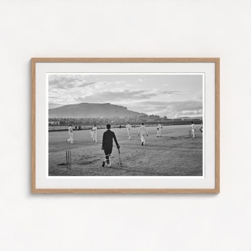 Cricket Players - Image 7