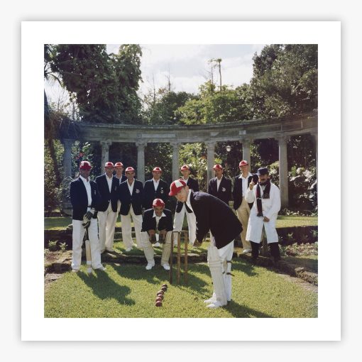 Dapper Cricketers - Image 2