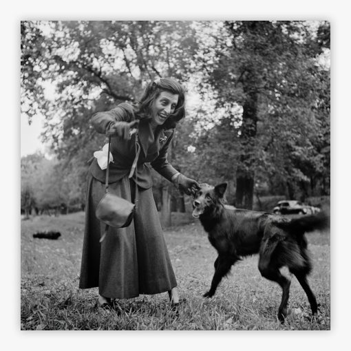Dog Walker