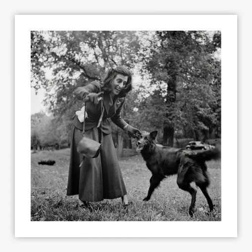 Dog Walker - Image 2
