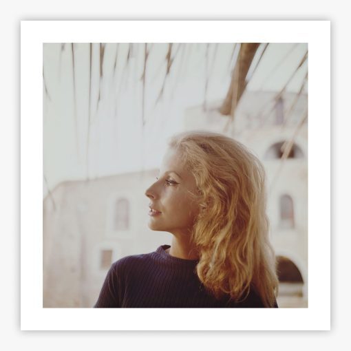 Dolores Guinness - Image 2