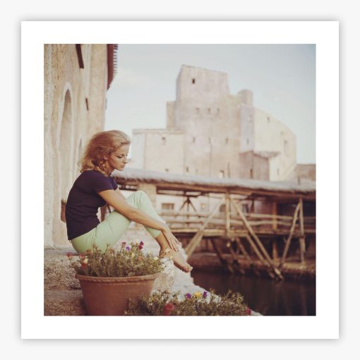 Dolores Guinness - Image 2