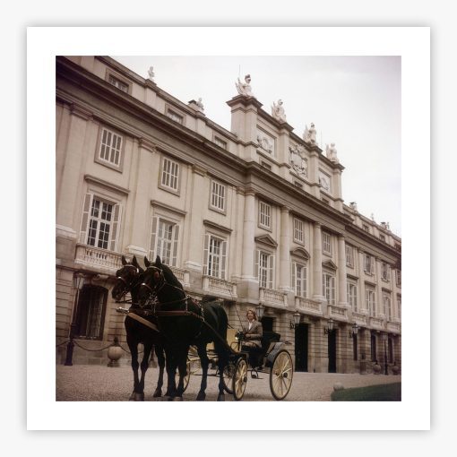Duchess of Alba - Image 2