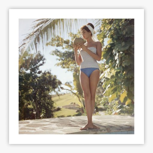 Francine Brandt - Image 2