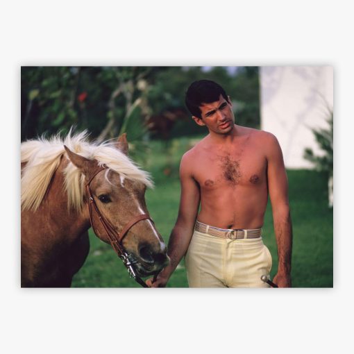 George Hamilton