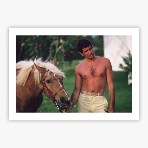 George Hamilton - Image 2