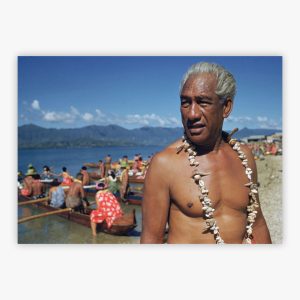 Hawaiian Hero