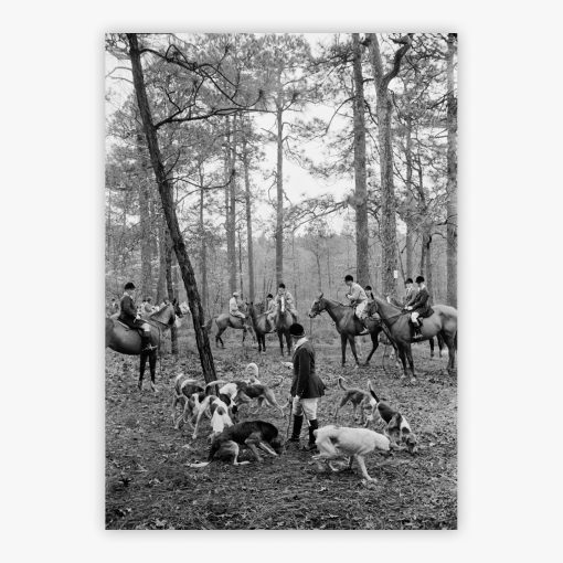 Hunting Party