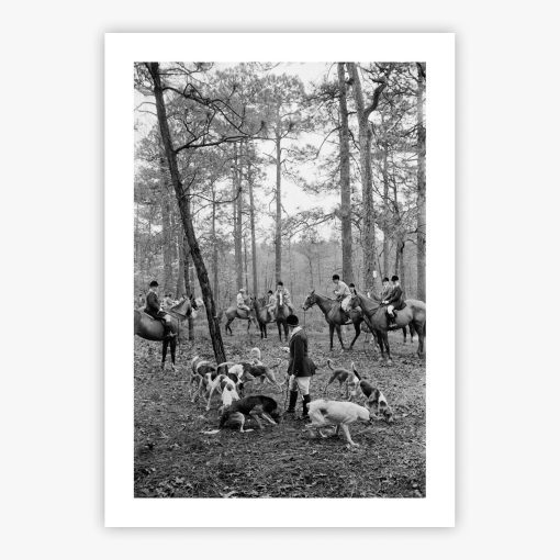 Hunting Party - Image 2