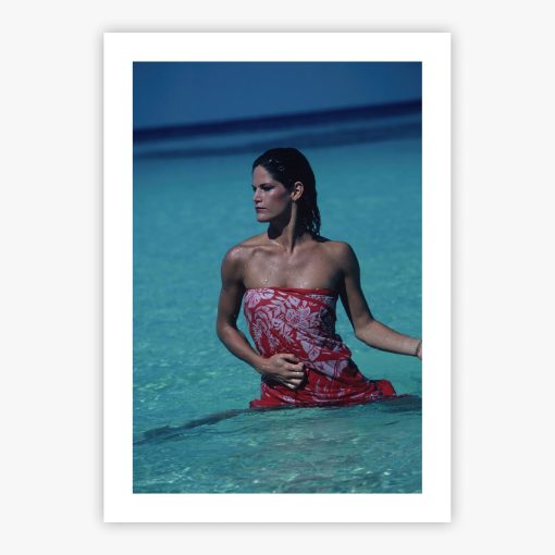 In The Waters Off Haiti - Image 2