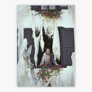Iris Mansard