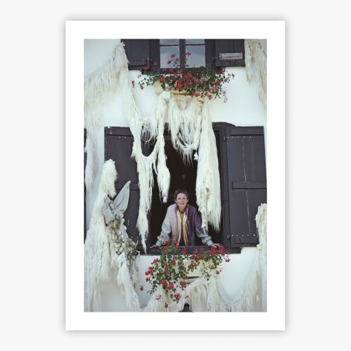 Iris Mansard - Image 2