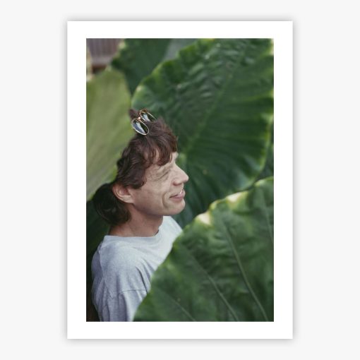 Mick Jagger - Image 2