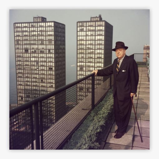 Mies In Chicago