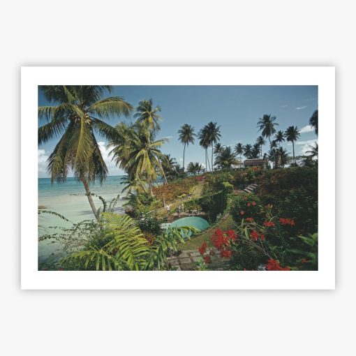 Ocho Rios, Jamaica - Image 2