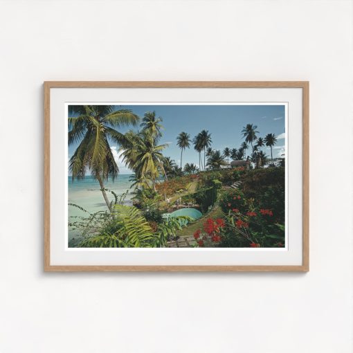 Ocho Rios, Jamaica - Image 7