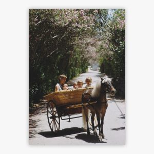 Oleander Drive