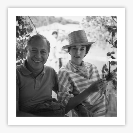 Paley Vacation - Image 2