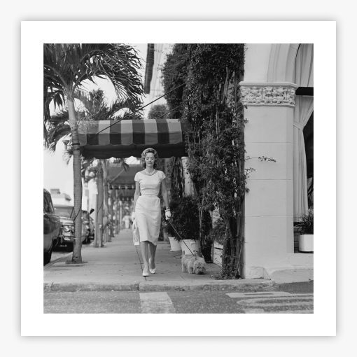 Palm Beach Fashion - Image 2