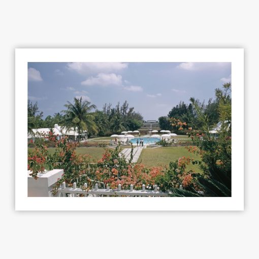 Paradise Island - Image 2