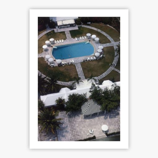 Paradise Island - Image 2