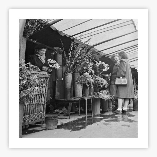 Parisian Florist - Image 2
