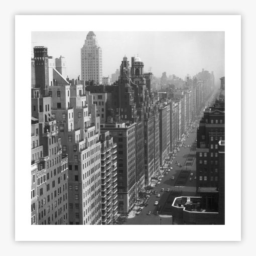 Park Avenue - Image 2