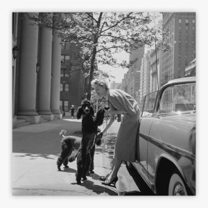 Park Avenue Fashion