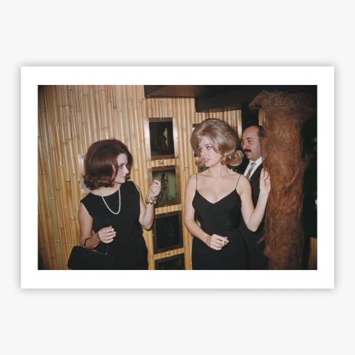 Party At The Playboy Mansion - Image 2