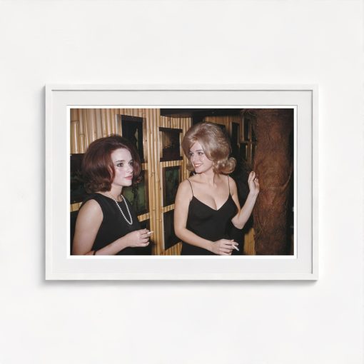 Party At The Playboy Mansion - Image 5
