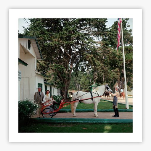 The Collins' - Image 2