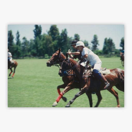 Polo Match