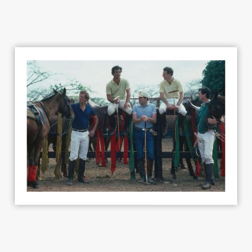 Polo Team - Image 2