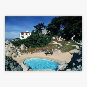 Poolside Equestrian