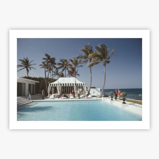 Poolside Luncheon - Image 2