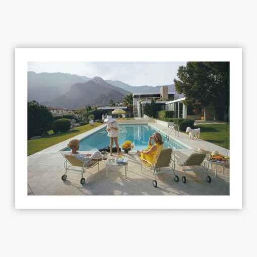 Poolside Poodle - Image 2