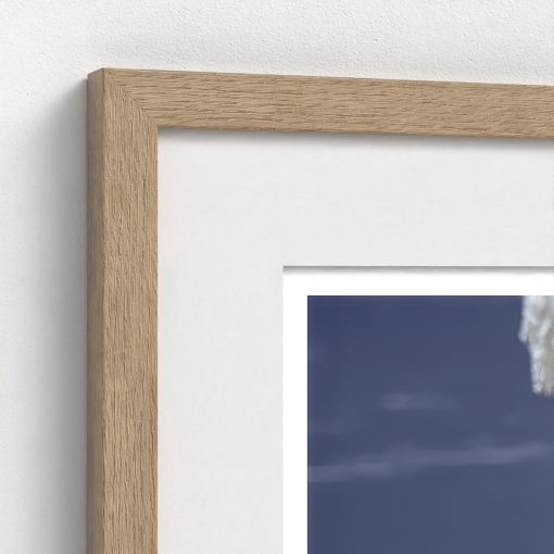 Positano Parrot - Image 8