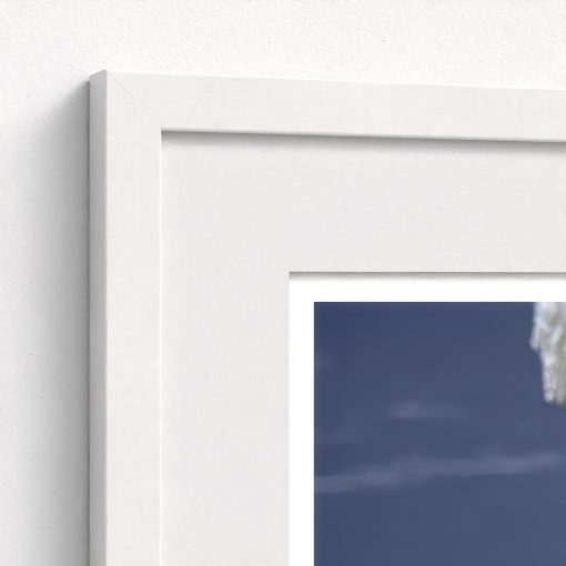 Positano Parrot - Image 6