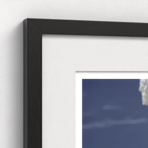 Positano Parrot - Image 4