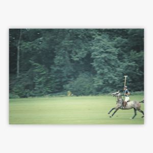 Prince Charles At Cowdray Park