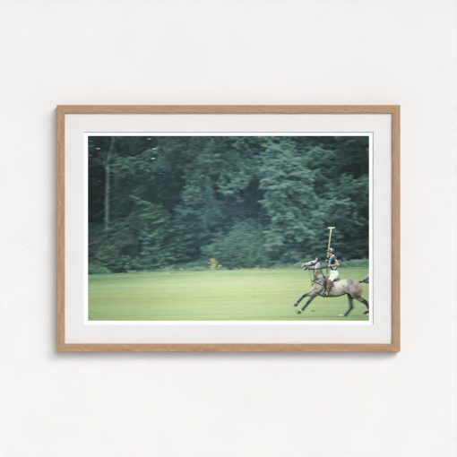 Prince Charles At Cowdray Park - Image 7