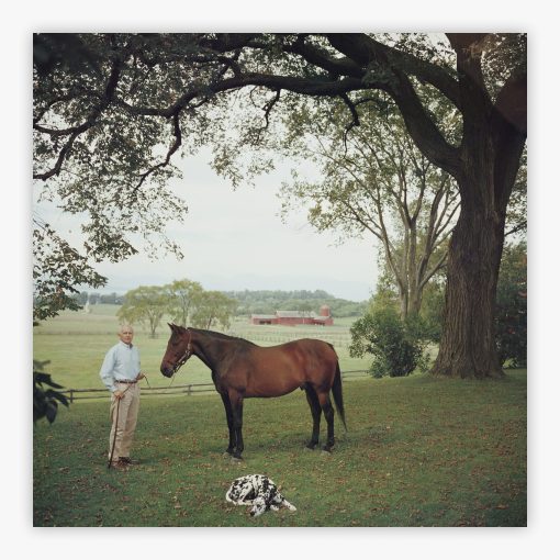 Prize Trotter