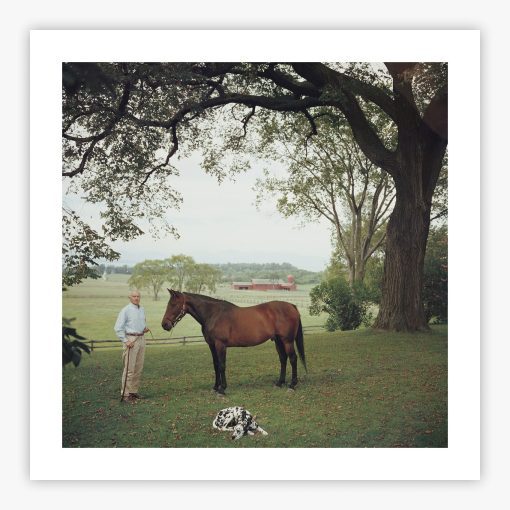 Prize Trotter - Image 2