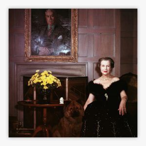 Publishing Widow