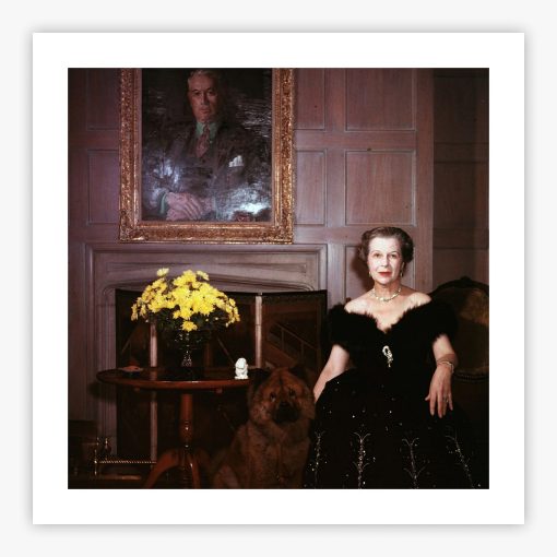 Publishing Widow - Image 2