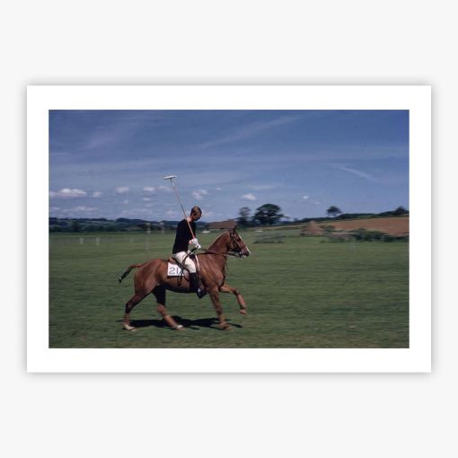 Ready For A Chukka - Image 2