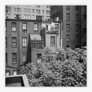 Rear Window Shoot