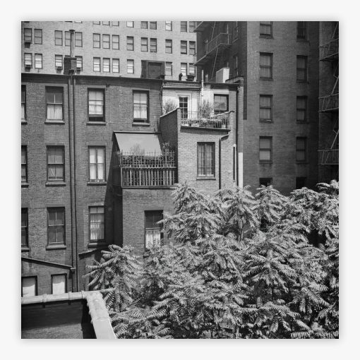 Rear Window Shoot