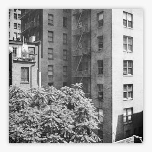 Rear Window Shoot